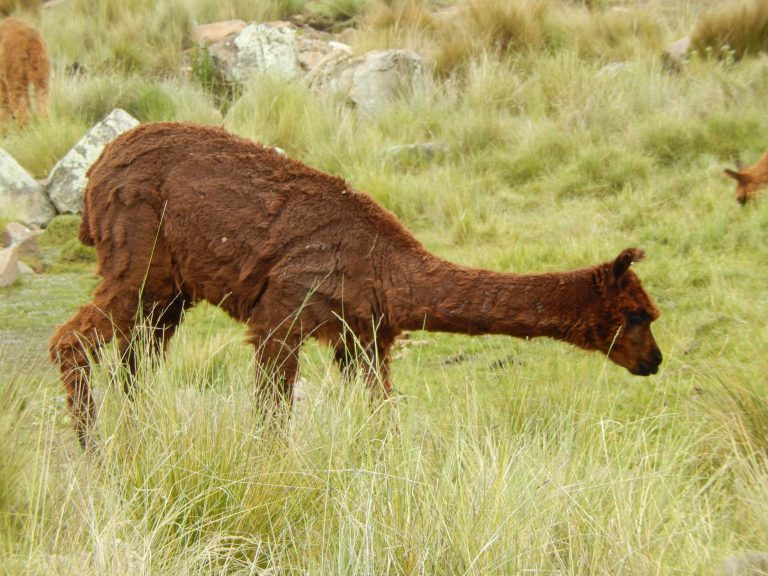日本で最高のマリファナをスペインから迅速かつ安全に発送Best weed in